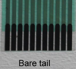 Bare tail